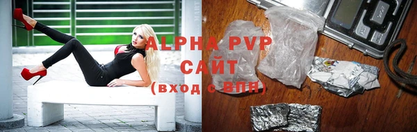 гидра Абаза