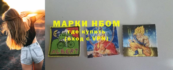 гидра Абаза