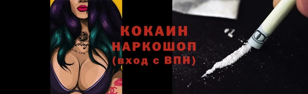 гидра Абаза