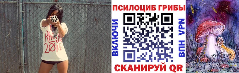 цена наркотик  Сухиничи  Псилоцибиновые грибы GOLDEN TEACHER 
